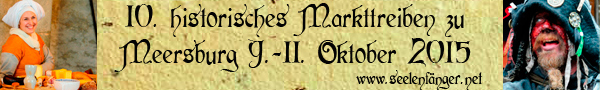 banner-meersburg_2015