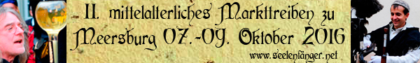 banner_meersburg_2016